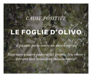 le fogli di olivo, un antico segreto oggi venuto alla luce