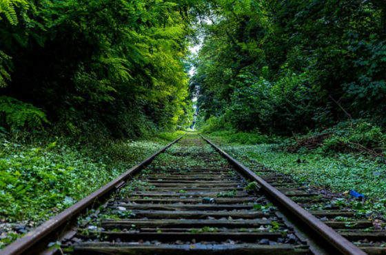 Le linee ferroviarie dismesse , diventano Greenways